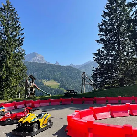 61 22 Trois Pièces à Vue Imprenable Sur Les Montagnes Gryon