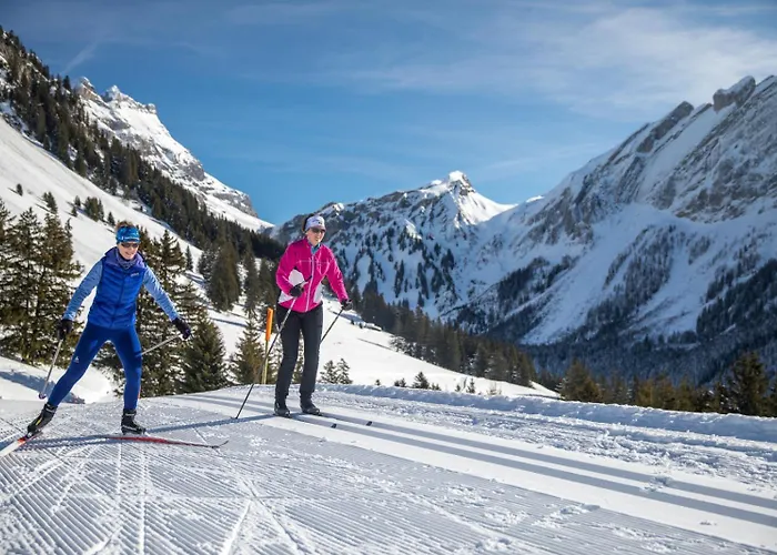 61 22 Trois Pieces A Vue Imprenable Sur Les Montagnes Apartament