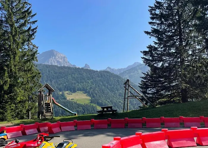 61 22 Trois Pieces A Vue Imprenable Sur Les Montagnes Gryon