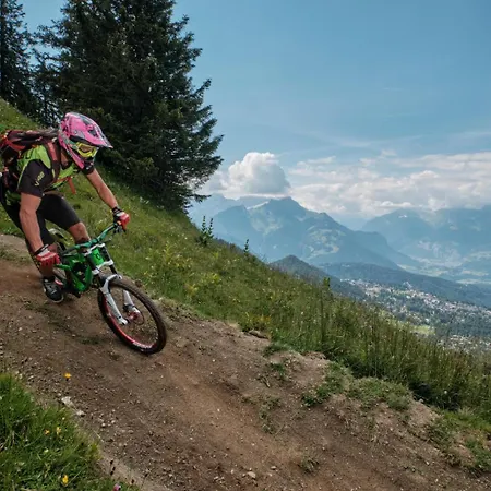 61 22 Trois Pieces A Vue Imprenable Sur Les Montagnes * Gryon