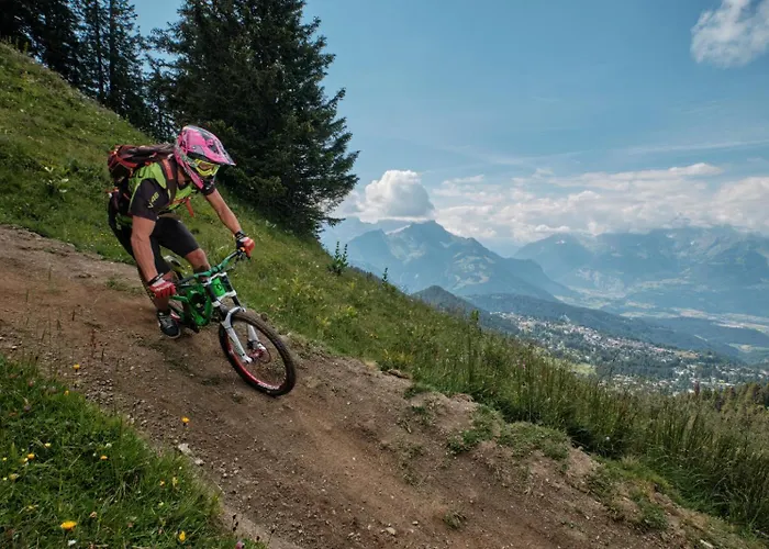 61 22 Trois Pieces A Vue Imprenable Sur Les Montagnes * Gryon