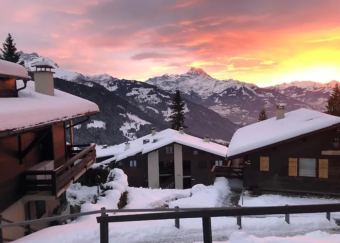 61 22 Trois Pieces A Vue Imprenable Sur Les Montagnes * Gryon