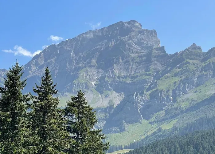 61 22 Trois Pieces A Vue Imprenable Sur Les Montagnes Appartement *